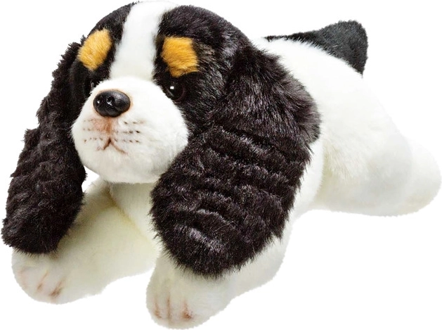 Plišani pas Cavalier King Charles španijel 30 cm