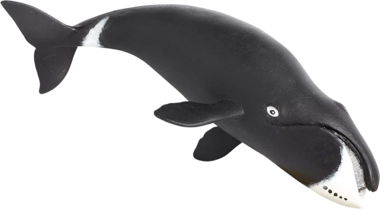 Safari Ltd. Greenland whale figurine