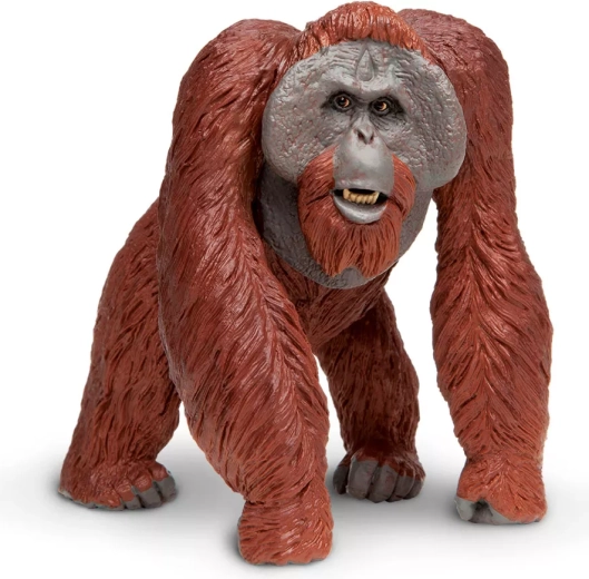 Figurica borneanskog orangutana Safari Ltd.