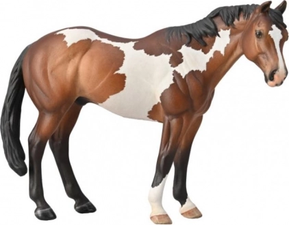 Pastuh Appaloosa Bay Overo Paint