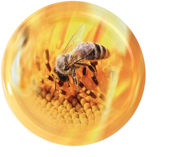 Metalni poklopci za staklenke 82 mm s motivom pčele, set 10 kom