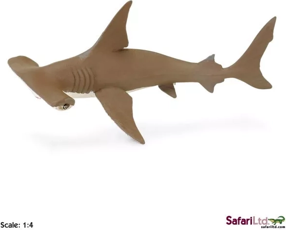 Safari Ltd. bronze hammerhead shark pup