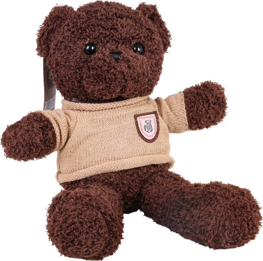 Brown Plush Teddy Bear in a Sweater