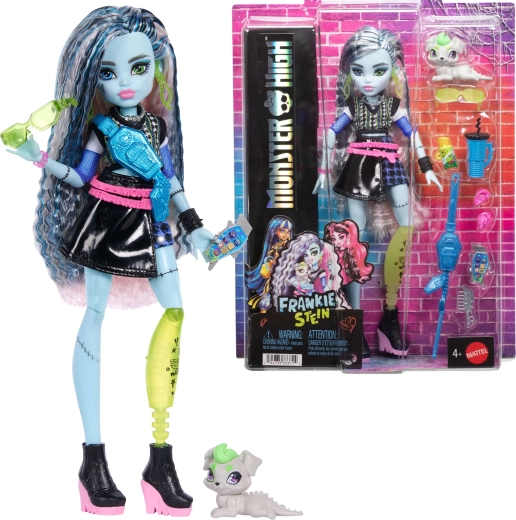 Monster High Frankie Stein lutka 26 cm s dodacima i ljubimcem