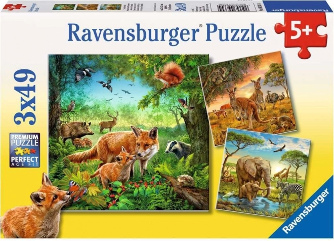 Ravensburger puzzle Životinje 3×49 dijelova