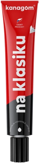 Vodootporno ljepilo Kanagom 40 g