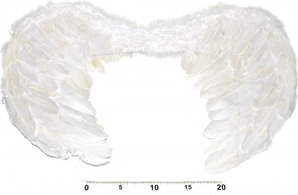 Anđeoska krila za kostim