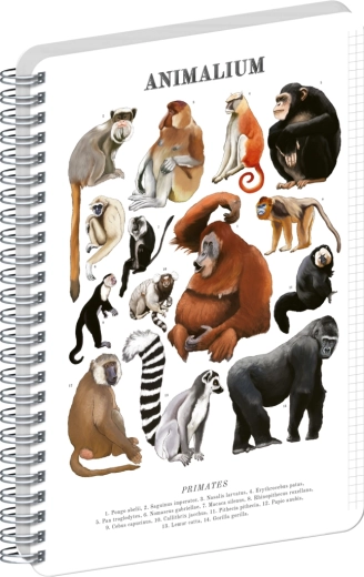 Notique spiralni blok Animalium – primati, karo A5