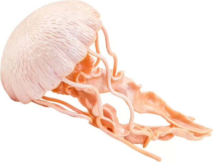 Safari Ltd. Jellyfish Figurine - 1 piece