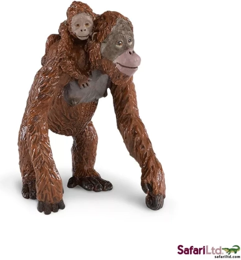Orangutan with baby