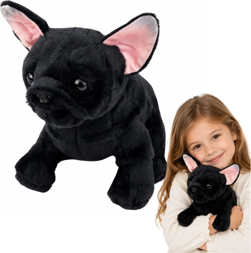 Plišana francuska buldogica crna 22 cm
