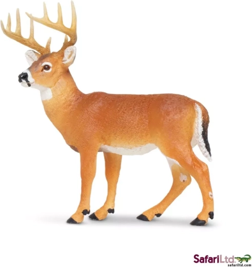 Jelen bjelorepi Safari Ltd.