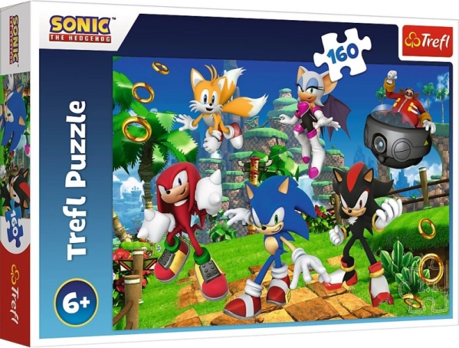 Puzzle Sonic i prijatelji 160 dijelova