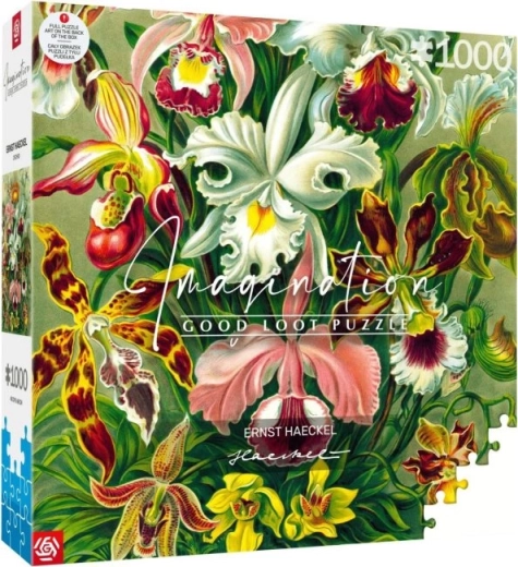 puzzle Imagination: Ernst Haeckel – orhideja 1000 dijelova