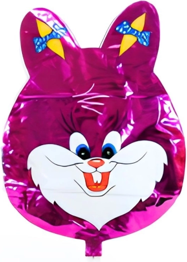 Balon zec