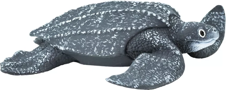 Leatherback sea turtle Safari Ltd. - 1 piece