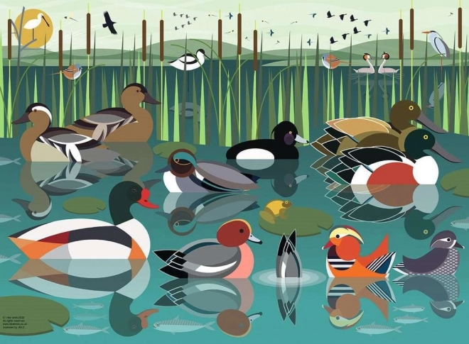 Ravensburger puzzle Volim vodene ptice 500 dijelova