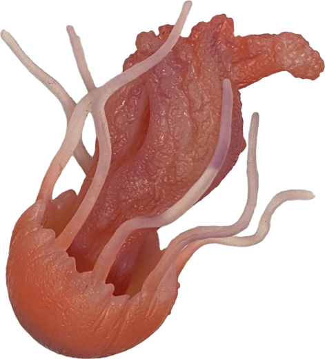 Gumena meduza 10 cm – igračka za kadu i bazen