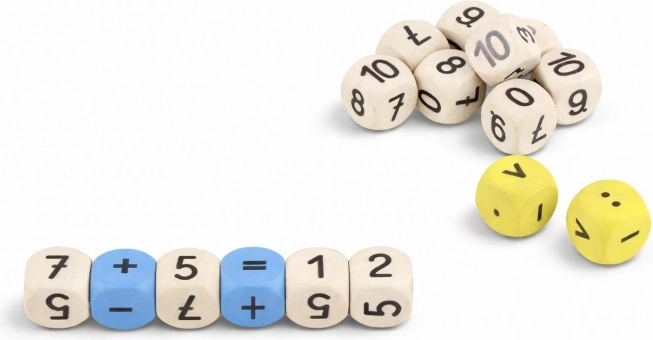 Wissner matematičke nastavne kockice (16 kom)