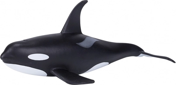 Realistic Model of Orca for Kids and Collectors