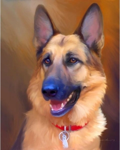 Diamond mosaic (diamond painting) – German Shepherd 30 × 40 cm