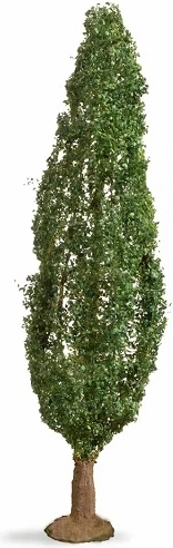 Noch topola (Master Tree) 18 cm