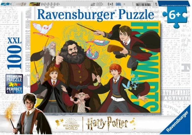 Harry Potter: mladi čarobnjak puzzle 100 dijelova