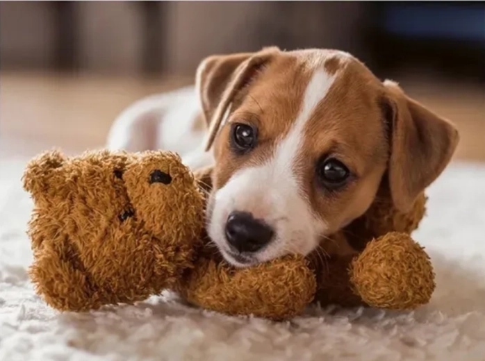 Ravensburger puzzle Topli zagrljaj 500 dijelova