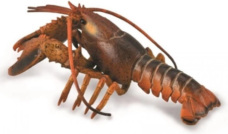 Collecta jastog – realistična edukativna figurica