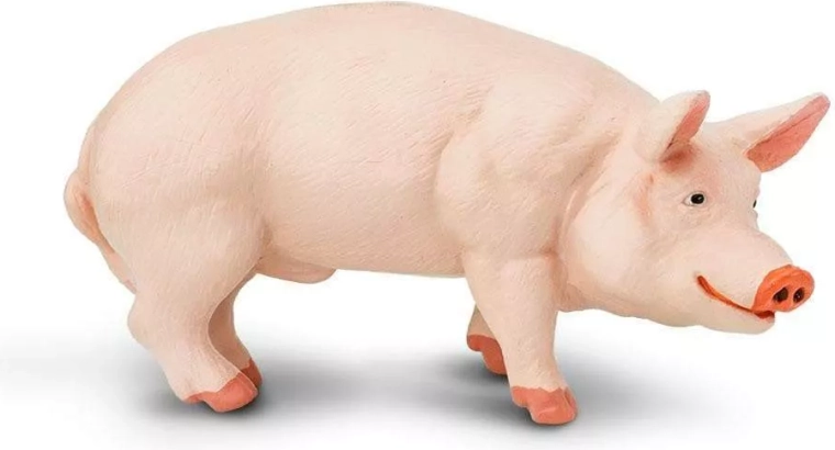 Piglet (domestic pig) figurine Safari Ltd.