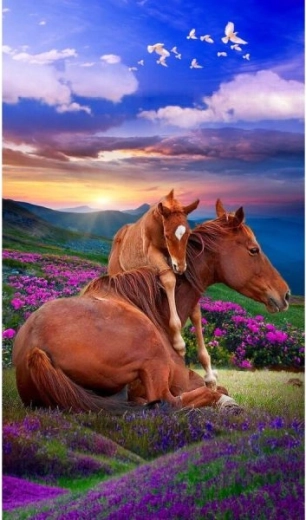 Paint-by-numbers canvas on frame 40 × 50 cm Two horses – mountains