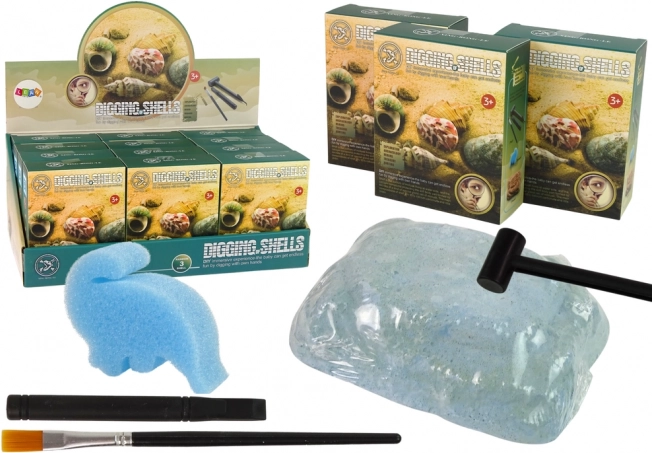 Arheološki set – iskapanje školjki, 3 modela iznenađenja