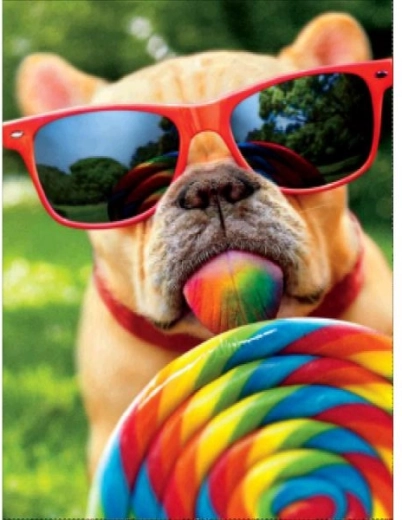 Diamond painting – dog in glasses 30 × 40 cm