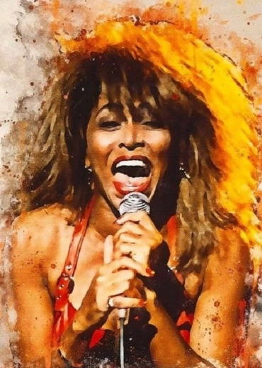 Norimpex diamond painting Tina Turner singing 30 × 40 cm