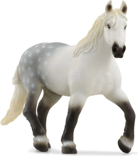 Figura kobile pasmine Percheron