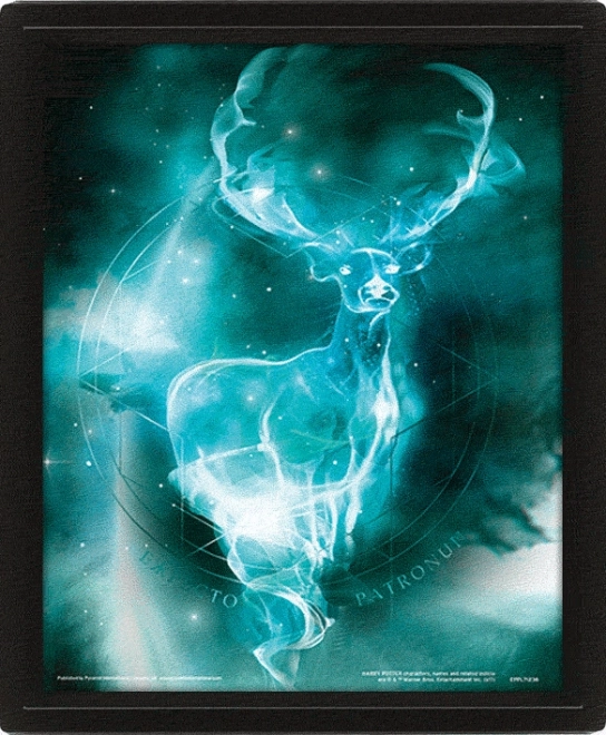3D slika Harry Potter - Patronus