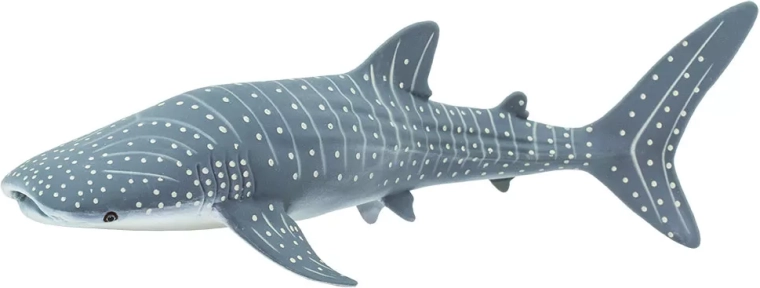Safari Ltd. figura kitopsine (whale shark) – 1 komad