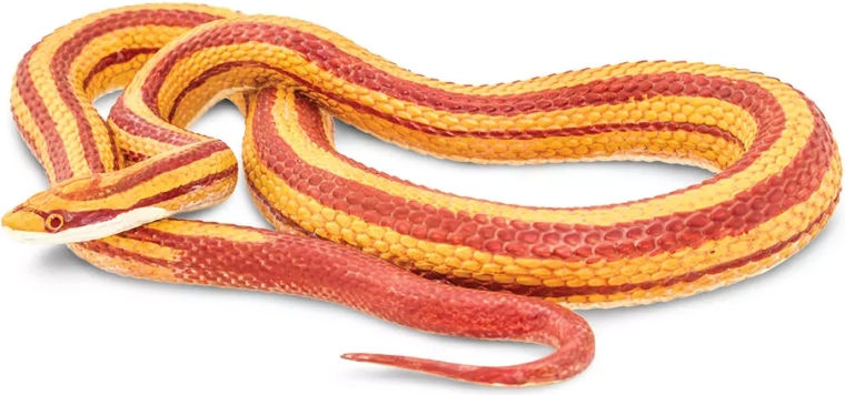 Corn Snake Figurine Safari Ltd.
