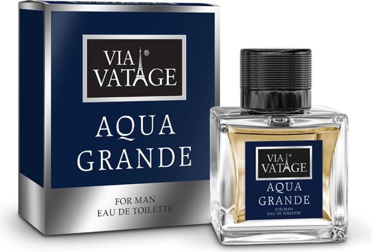 Bi-Es Via Vatage Aqua Grande muška toaletna voda 100 ml