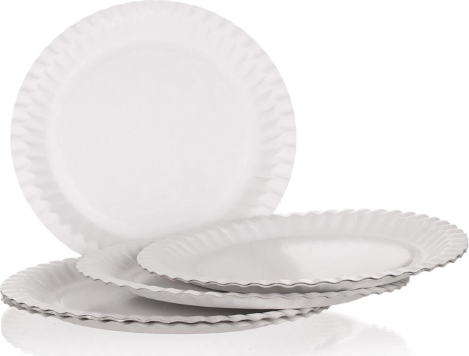 Papirnati tanjuri MY PARTY 23 cm (12 kom)