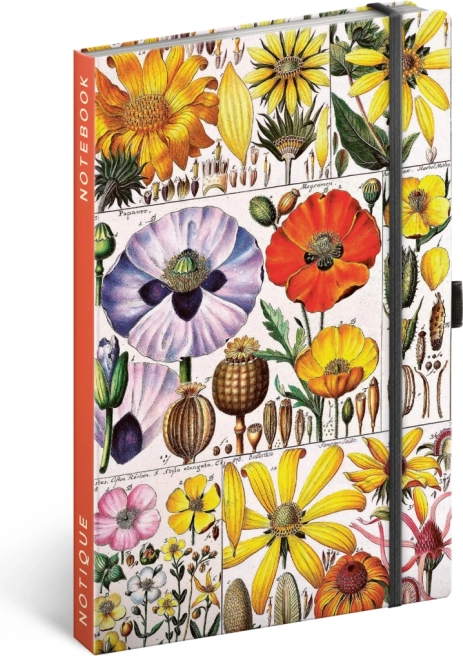 Bilježnica Herbarij Katarine Winterove, točkasta 13 × 21 cm