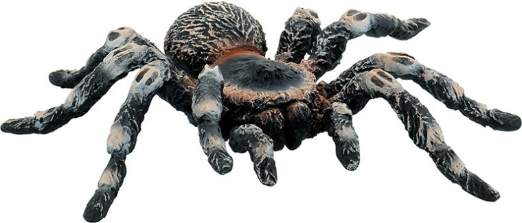 Bijela tarantula