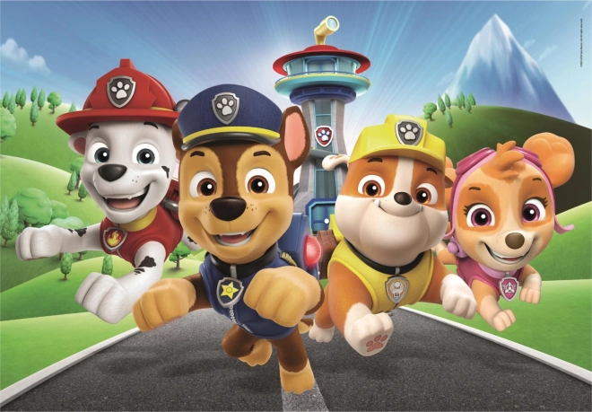 Slagalica 60 dijelova PAW Patrol Super Color