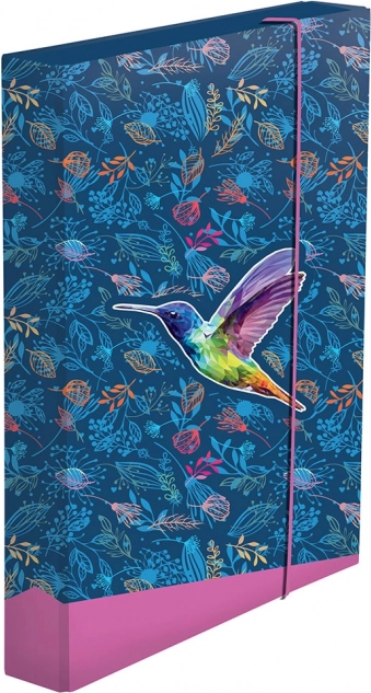 Kutija za bilježnice A4 jumbo – kolibrić