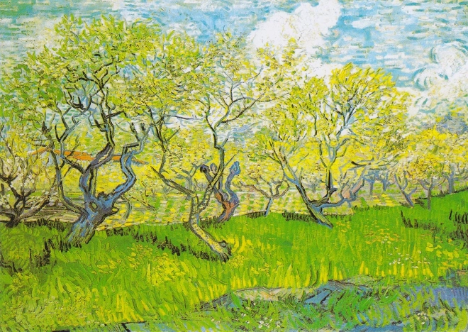 Puzzle Vincent van Gogh: Cvjetni Vrt 1000 komada