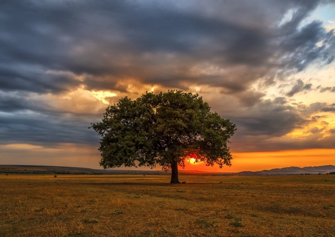 Slagalica Sumrak 1000 dijelova ENJOY