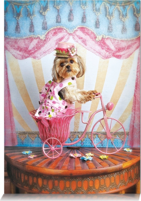 Puzzle Snoviti putnik 500 komada