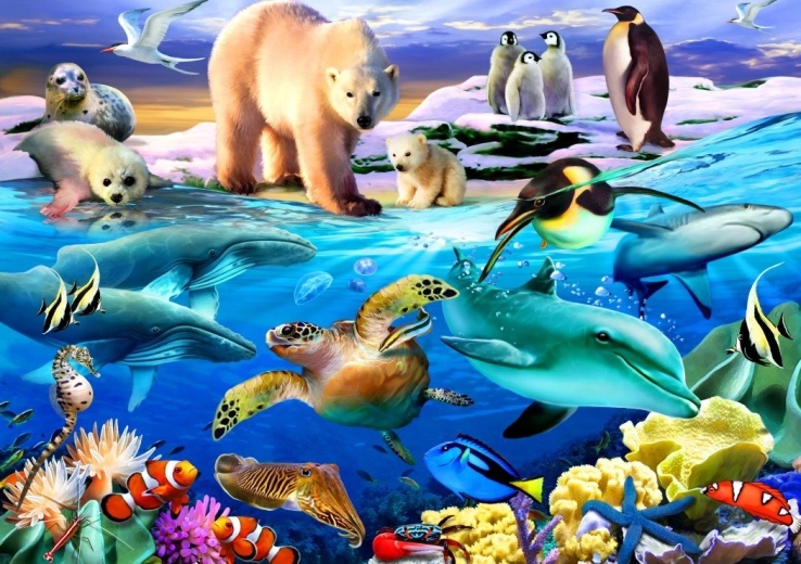 Bluebird puzzle Ocean of Life 1000 pieces