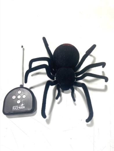 RC Black Widow Spider