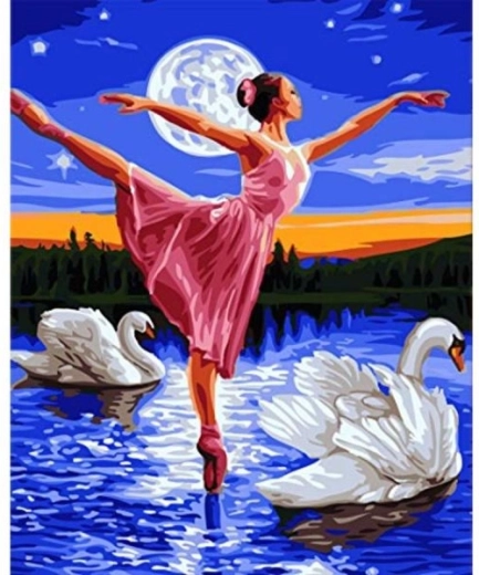 Slikanje po brojevima na okviru 40 × 50 cm – Labuđe jezero